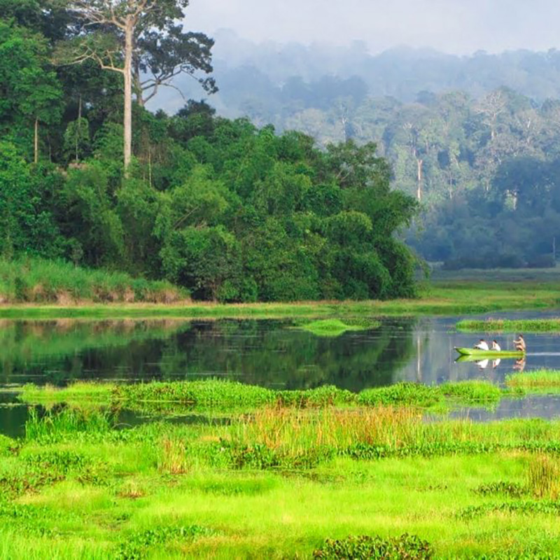 TOUR RỪNG NAM CÁT TIÊN 2023: TREKKING BÀU SẤU